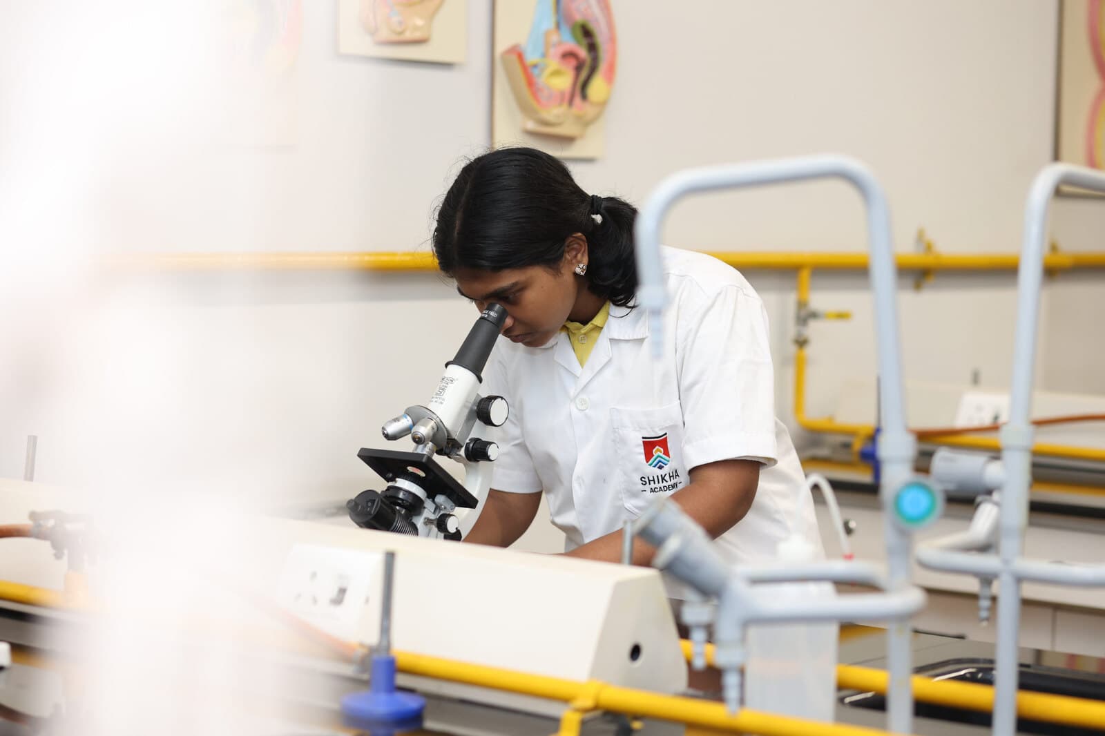 A student using a microscope during a science investigation